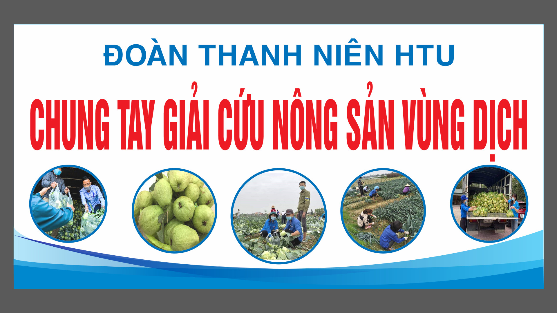Đoàn thanh niên trường Đại học Công Nghiệp Dệt May Hà Nội chung tay giải cứu nông sản vùng dịch