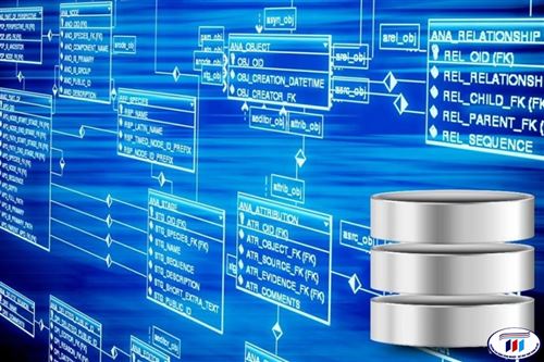 Xây dựng phần mềm quản lý cơ sở dữ liệu trực tuyến phục vụ công tác kiểm định chất lượng các chương trình đào tạo 
