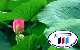 VẬT LIỆU XANH TRONG THIẾT KẾ BAO BÌ TƯƠNG LAI