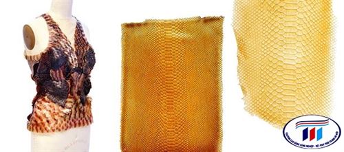 GIỚI THIỆU CHẤT LIỆU BỀN VỮNG TRONG THIẾT KẾ THỜI TRANG XANH