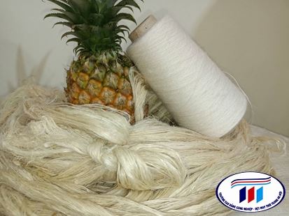XƠ LÁ DỨA VÀ ỨNG DỤNG TRONG VẬT LIỆU BỀN VỮNG