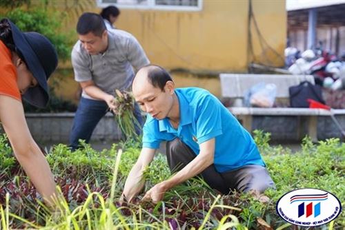 KHOA CƠ ĐIỆN TÍCH CỰC THAM GIA HOẠT ĐỘNG TỔNG VỆ SINH MÔI TRƯỜNG CHÀO MỪNG QUỐC KHÁNH 2/9 VÀ KHAI GIẢNG NĂM HỌC MỚI 2025 – 2026