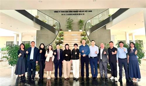 LÀM VIỆC VỚI LÃNH ĐẠO TẬP ĐOÀN TEXHONG VỀ VIỆC ĐÀO TẠO NHÂN LỰC CHẤT LƯỢNG CAO CHO TẬP ĐOÀN TEXHONG VÀ KHU CÔNG NGHIỆP HẢI HÀ